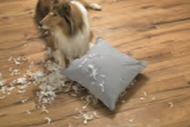 scratch-resistant